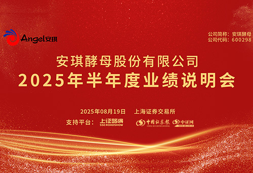 安琪酵母01.jpg